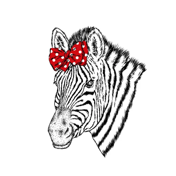 Zebra Łuk Ilustracja Wektorowa — Wektor stockowy