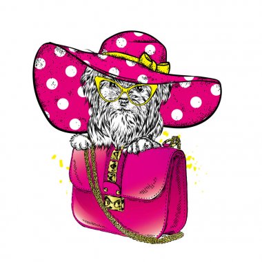 Bir plaj şapka soyu bir köpek. Yaz giysileri köpek yavrusu. Vektör çizim.