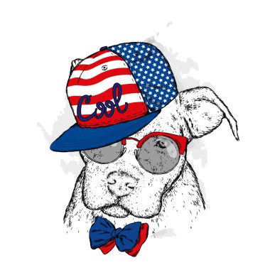 Gözlük ve bir kap soyu bir köpek. Pitbull. Vektör çizim.