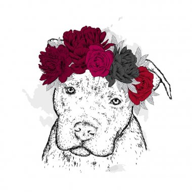 Çiçek çelenk soyu bir köpek. Pitbull. Vektör çizim.