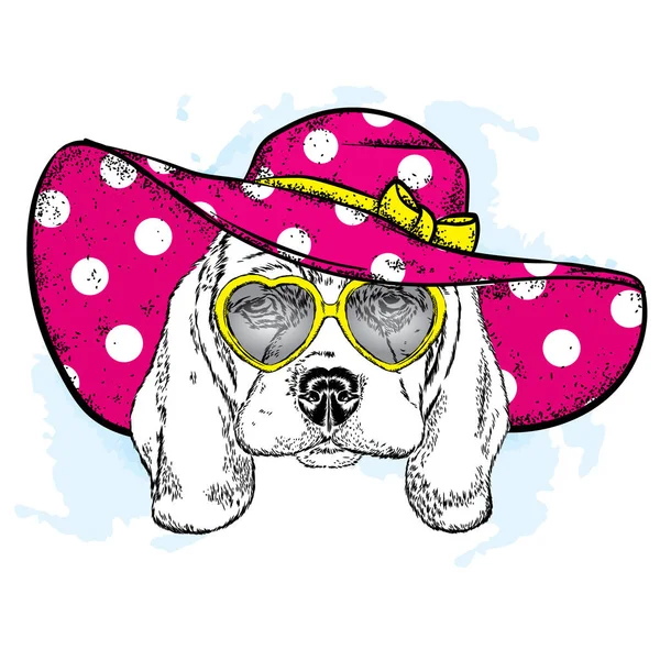 Chien Généalogique Dans Chapeau Plage Chiot Vêtements Été Illustration Vectorielle — Image vectorielle