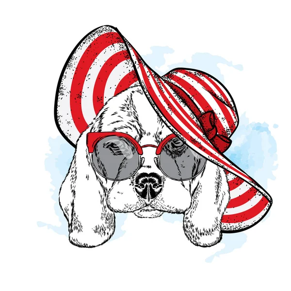 Σκυλί Ράτσας Στην Παραλία Καπέλο Κουτάβι Στο Καλοκαίρι Ρούχα Εικονογράφηση — Διανυσματικό Αρχείο