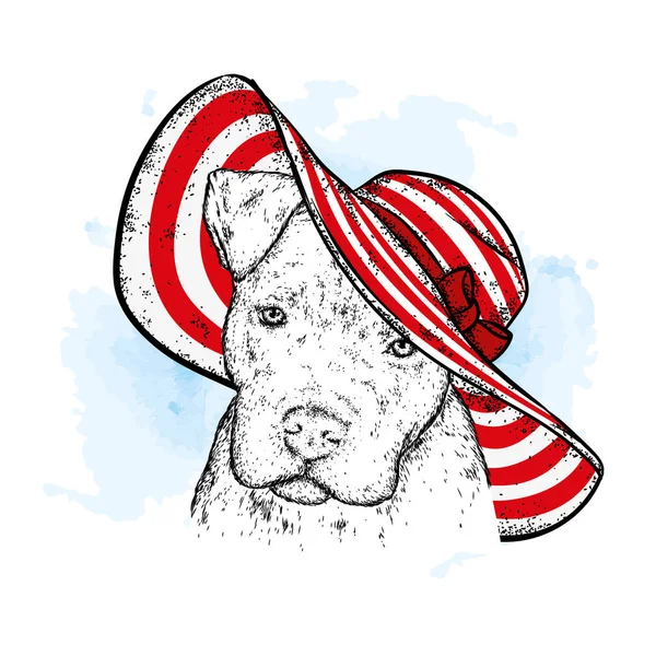 在沙滩帽子里的纯种狗 穿着夏装的小狗 矢量插图 — 图库矢量图片