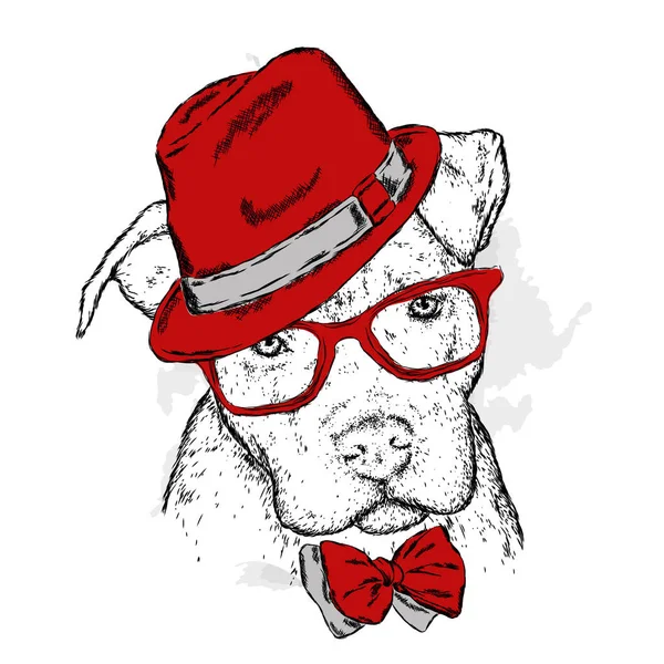 Pit Bull Hat Tie Dog Vector Vector Illustration Greeting Card — Stock Vector
