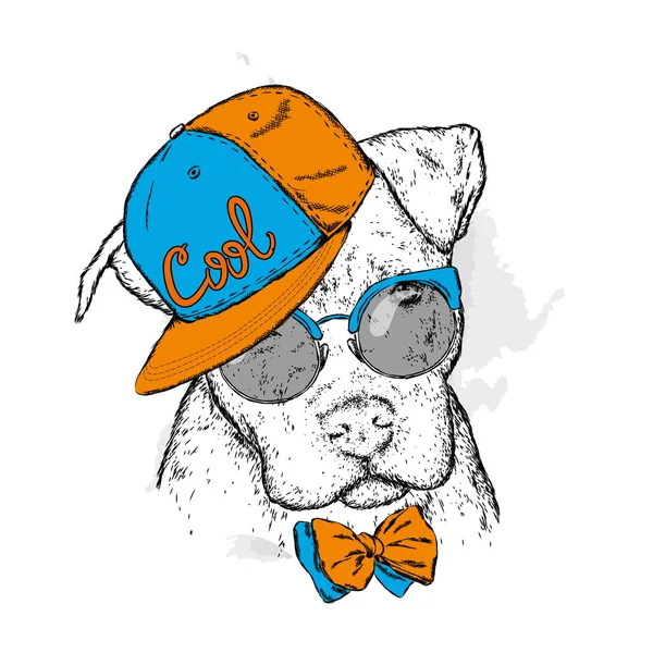 Perro Pedigrí Con Gafas Gorra Pitbull Ilustración Vectorial — Vector de stock