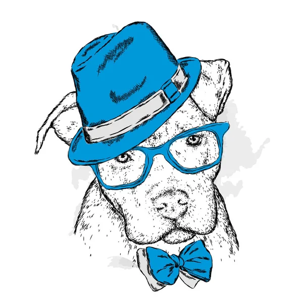斗牛犬在一顶帽子和领带 狗矢量 海报或衣服上的打印为矢量图 — 图库矢量图片