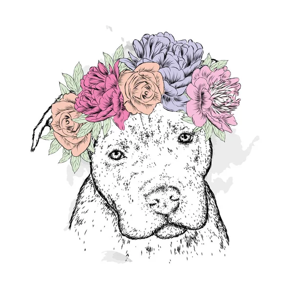 Ein Rassehund Einem Blumenkranz Pitbull Vektorillustration — Stockvektor