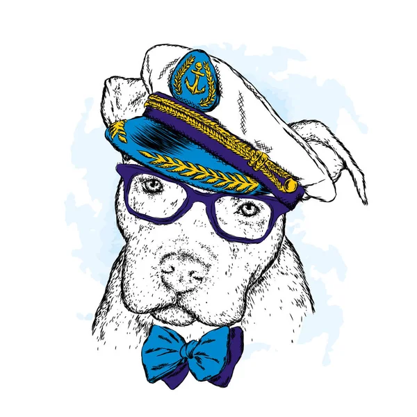 一只戴眼镜的纯种狗 一条领带和一顶帽子 矢量插图 上尉水手 — 图库矢量图片