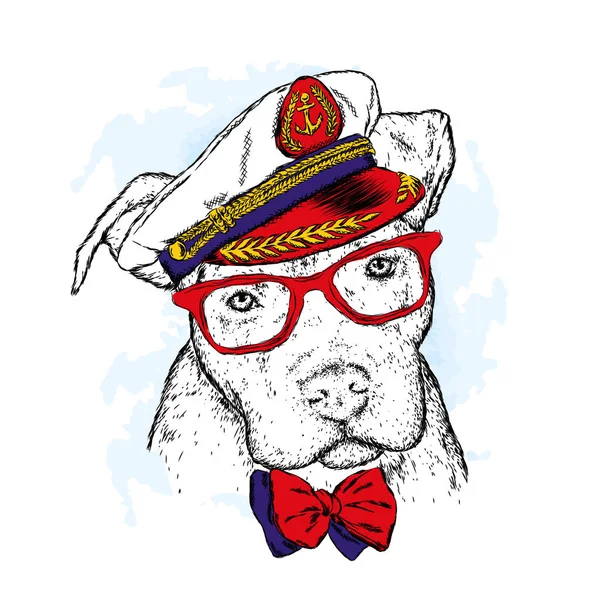 一只戴眼镜的纯种狗 一条领带和一顶帽子 矢量插图 上尉水手 — 图库矢量图片