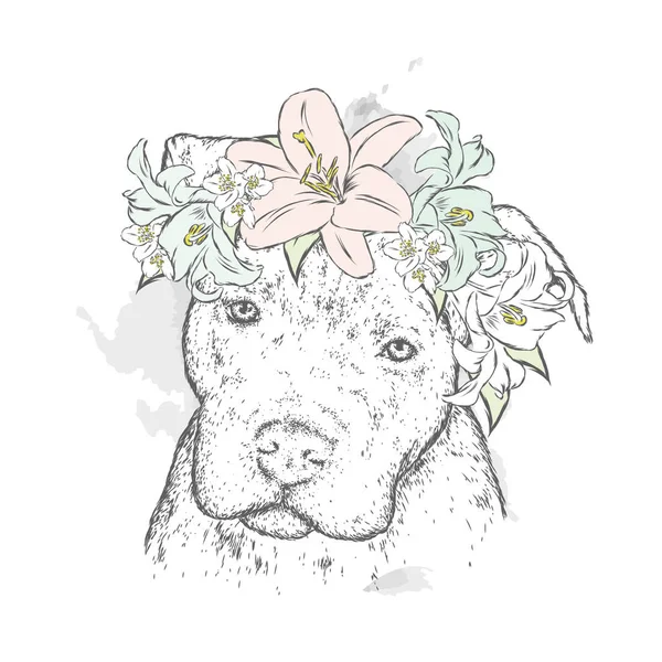 Een Pedigreed Hond Een Krans Van Bloemen Pitbull Vectorillustratie — Stockvector