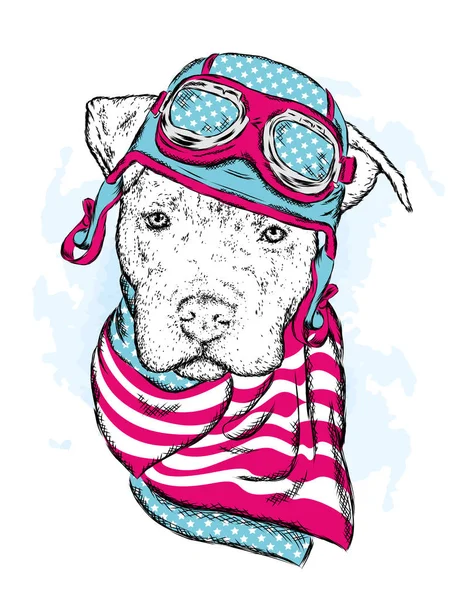 带头盔和围巾的纯种狗 骑自行车的人 矢量插图 — 图库矢量图片