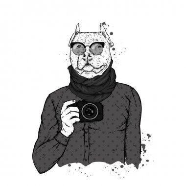 Hipster köpek ile insan vücudu ve fotoğraf makinesi. Hayvan giysili. Vektör çizim.