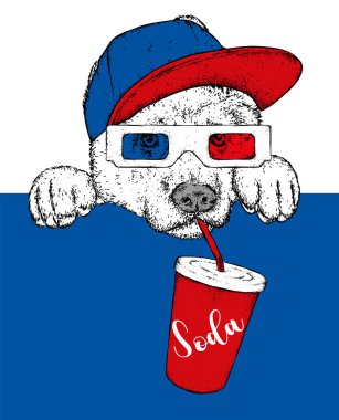 3d gözlük ve bir bardak soda ile bir kap bir köpek. Safkan köpek yavrusu. Vektör çizim.