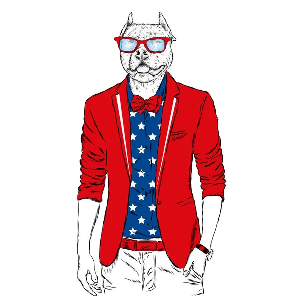 Pitbull Hipster Casaco Óculos Sol Ilustração Vetorial Impressão Capa Vestuário —  Vetores de Stock
