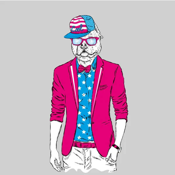 Pitbull Hipster Con Chaqueta Gafas Sol Ilustración Vectorial Impresión Portada — Archivo Imágenes Vectoriales