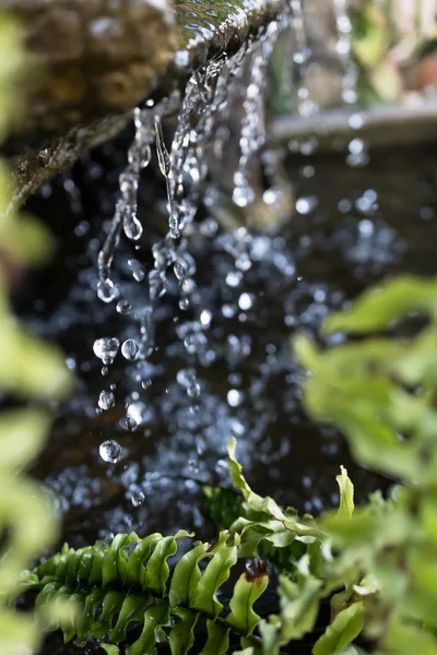 Маленький искусственный водопад в саду — стоковое фото