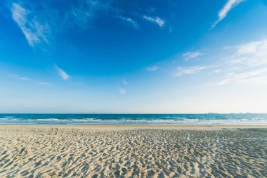 temiz su ve mavi gökyüzü ile tropikal plaj