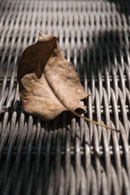Hasır sandalye üzerinde kurutulmuş yaprak