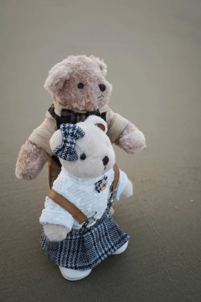 Couple of Teddy bear standing on the beach — Stock Photo, Image