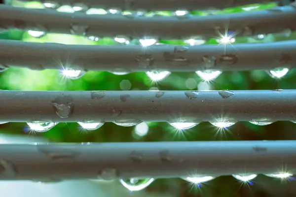Сверкающие капли дождя на дереве — стоковое фото