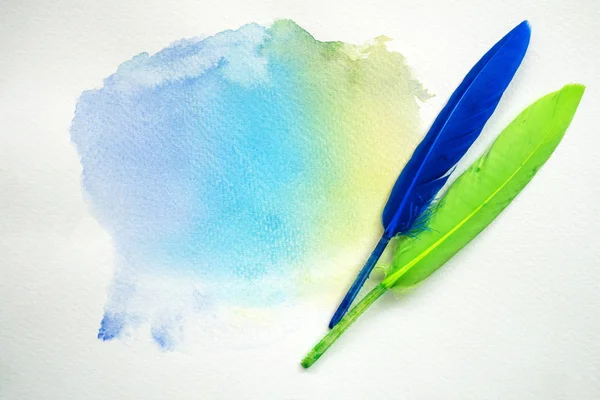 Abstract colorful watercolor on white paper with feathers — Stock Photo, Image