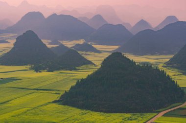 Jinjifeng'de Kolza çiçeği olan küçük köyler (Altın Tavuk