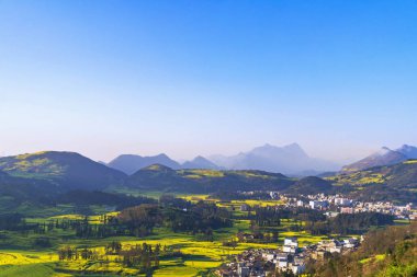 Salyangoz çiftliği Luositian Fie'de Kolza çiçeği olan küçük köyler