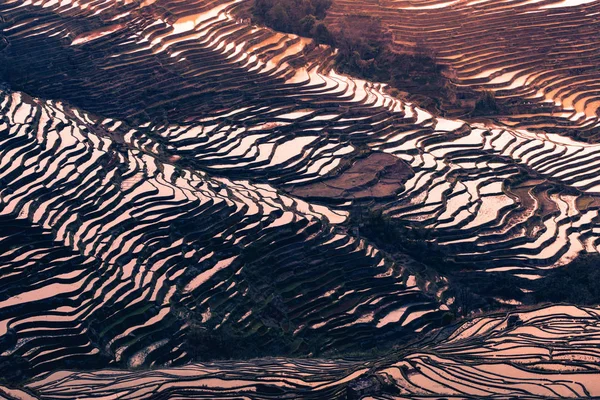 Hani terrasserade risfält i Yuanyang, Kina under Golden h — Stockfoto