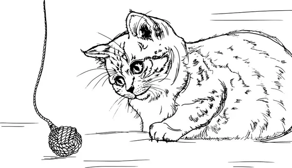 Yavru kedi oyuncak vektör kroki ile