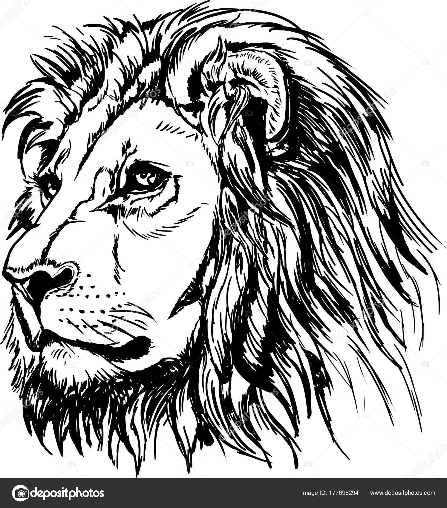 Free Free 198 Lion Svg Black And White SVG PNG EPS DXF File
