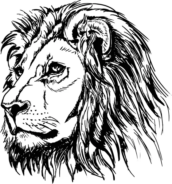 Векторное Изображение Головы Льва — стоковый вектор