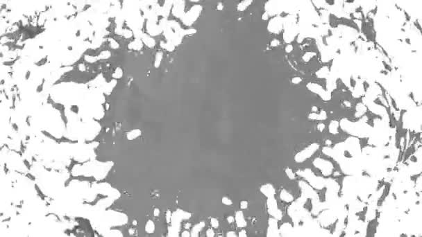 Beautiful Fountain Spray Liquid Like Grey Paint 3d On White Background With Alpha Channel Use Alpha Mask Top Of A Fountain With Vortex Liquid Version 20 Stock Video C Burakovac 149488188