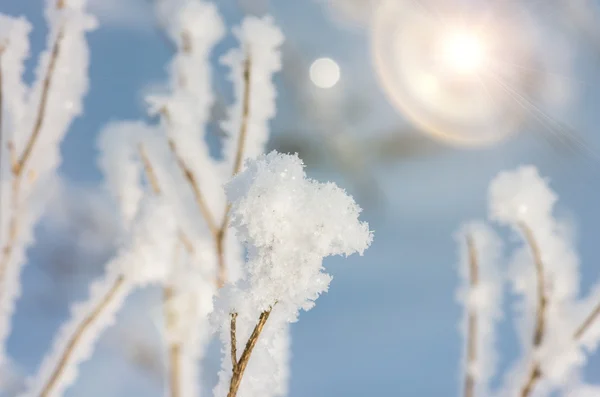 初冬的早晨 在圣诞节前夕 干草覆盖着霜和雪 冬季背景 — 图库照片