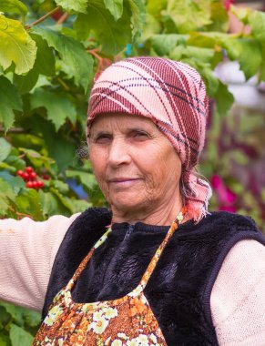 gri saçlı portre yaşlı kadın büyükanne