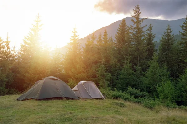 Zelený turistický stan v táboře mezi loukou a lesem v horách.Přírodní zázemí — Stock fotografie
