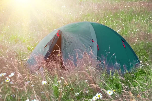 Zelený turistický stan v táboře mezi luční bylinky a květiny. Pozadí přírody — Stock fotografie