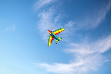 Gökyüzünde uçan renkli bir uçurtma özgürlüğün ve özgür cinsel insanların eşitliğinin bir sembolüdür. Mavi gökyüzünde bir uçak.