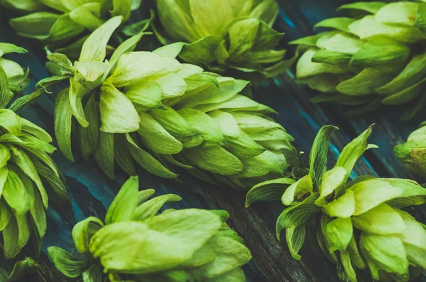 Green Hop Cones Lying Old Wooden Painted Surface Agricultural Background — Stock Photo, Image