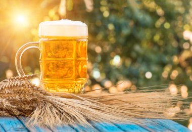 Bardakta hafif köpüklü bira ve doğal arka planda arpa kulağı. Alkol.