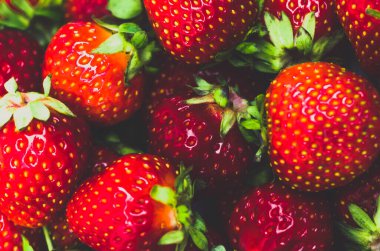 Taze, kırmızı organik çilekler yakın plan. Mavi tonlama, arkaplan