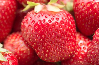 Taze, kırmızı organik çilekler yakın plan. arkaplan