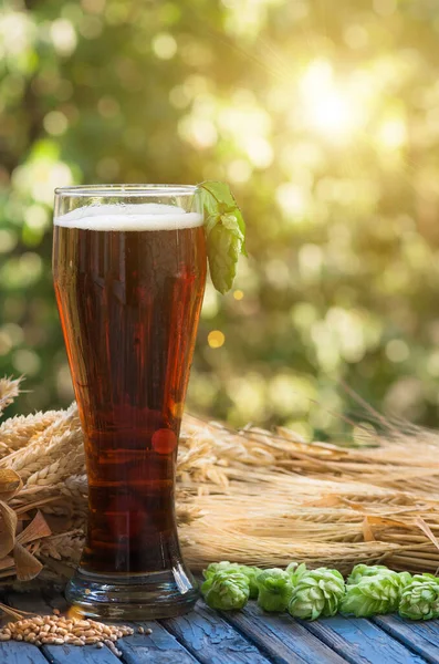Large Glass Dark Beer Malt Hops Barley Ears Standing Old — Stock Photo, Image