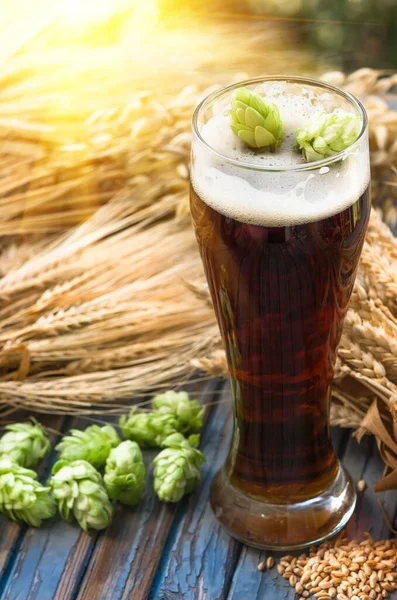 Large Glass Dark Beer Malt Hops Barley Ears Standing Old — Stock Photo, Image