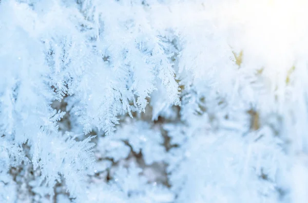 Красивые Иней Замороженные Зимний Лед Снег Природный Фон — стоковое фото