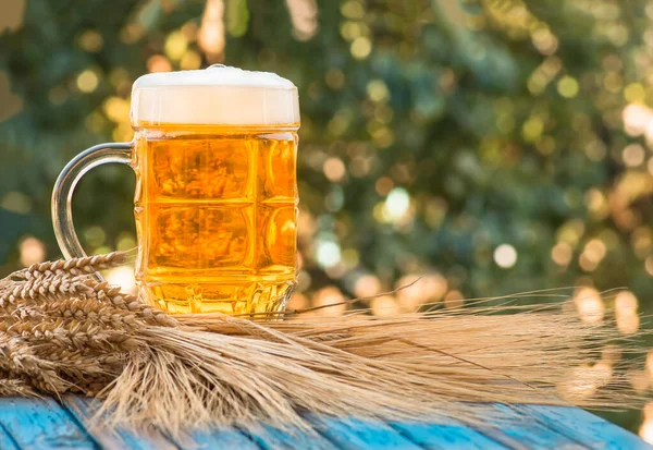 Lätt Skummande Glas Och Kornöron Naturlig Bakgrund Alkohol — Stockfoto