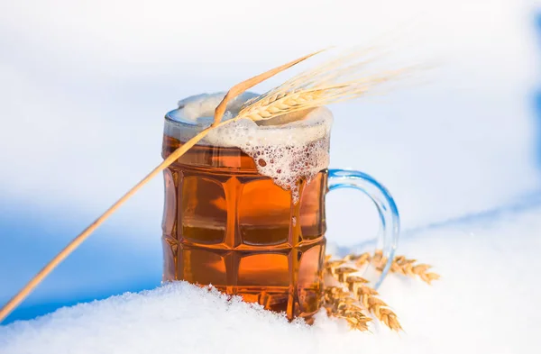 light beer in the snow with ears of wheat. winter background