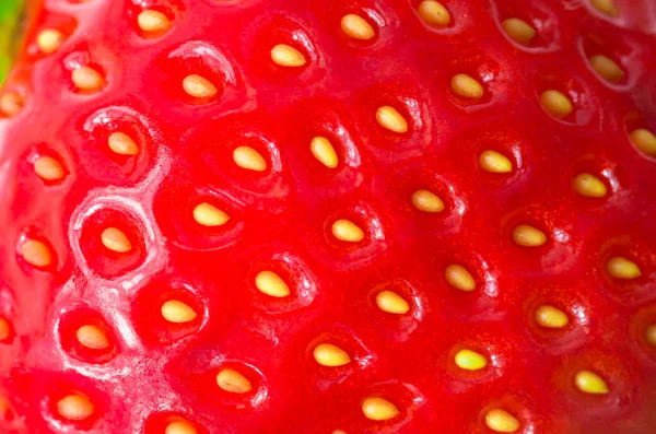 Fragole Biologiche Rosse Mature Fresche Primo Piano Sfondo — Foto Stock