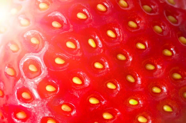 Fragole Biologiche Rosse Mature Fresche Primo Piano Sfondo — Foto Stock