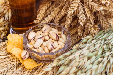 Fıstık, fıstık ve patates cipsi bira için bir aperatif. Bira ve ekmek yapımında kullanılan malzemelerle çevrili cam bir tabakta yatıyor. Buğday, arpa, yulaf, çavdar.