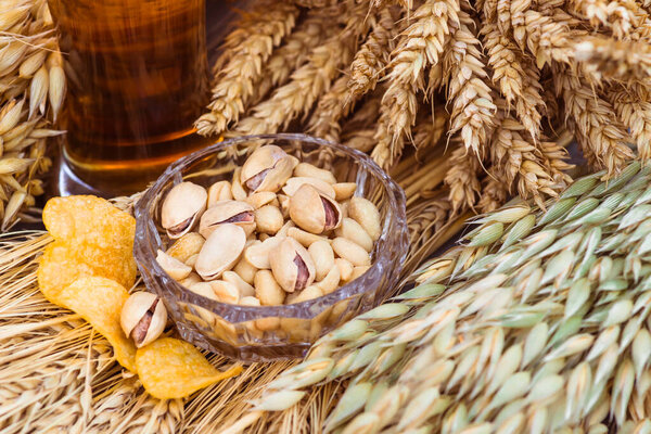 Pistachio nuts, peanuts and potato chips a snack for beer lying in a glass dish surrounded by ingredients for making malt for beer, bread. Spikes of wheat, barley, oats, rye.